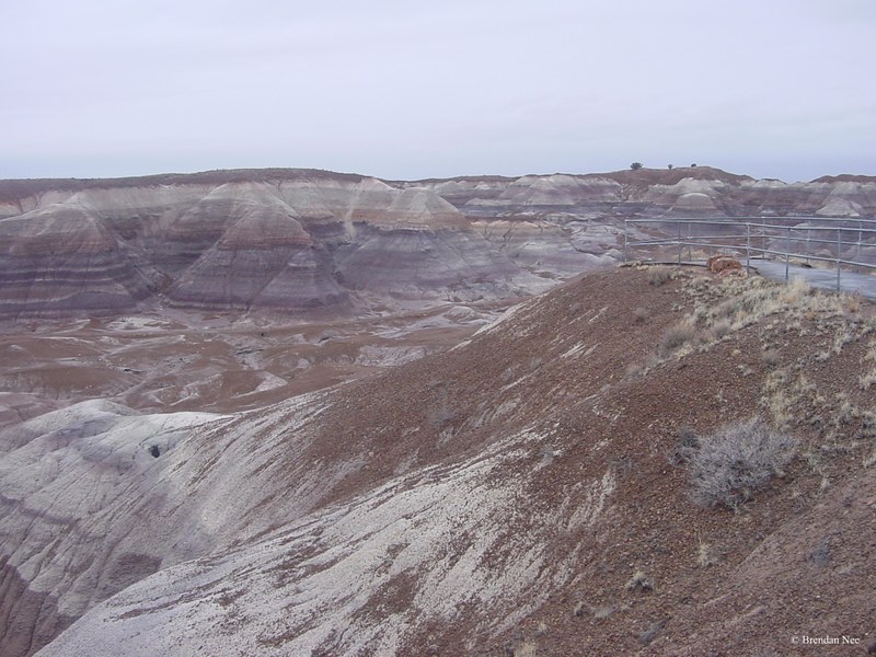Petrified Forest National Park - Petrified Forest 1-05 403